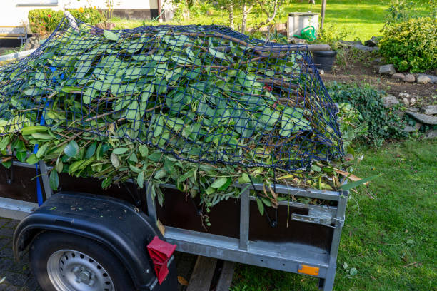 Best Scrap Metal Removal  in Auburn, IL